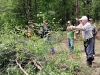 piling-brush piling-brush