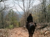 breconannexhorseback1 breconannexhorseback1