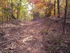 toptrailsopentrail toptrailsopentrail